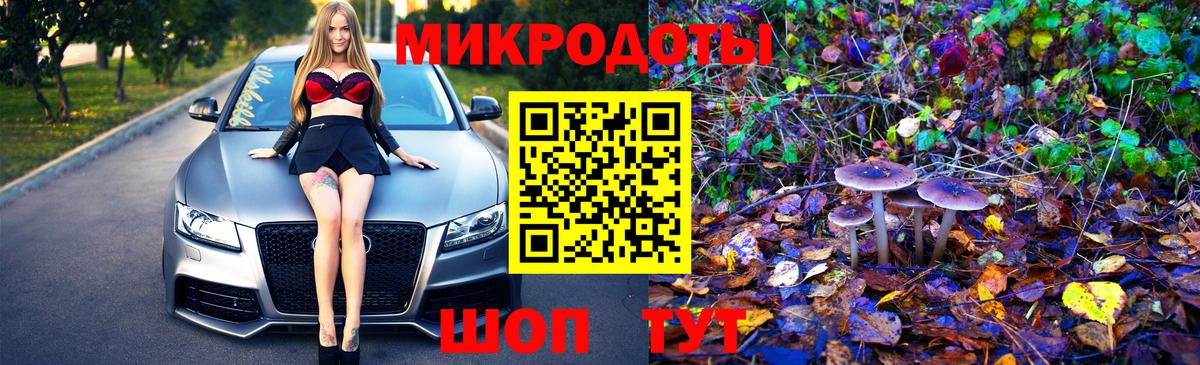 Галлюциногенные грибы прущие грибы Верхний Уфалей
