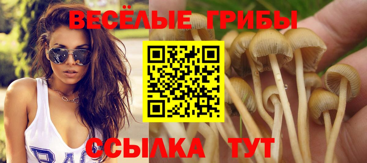 Верхний Уфалей  как найти закладки  Псилоцибиновые грибы мухоморы  Вход с VPN  Псилоцибиновые грибы Cubensis 